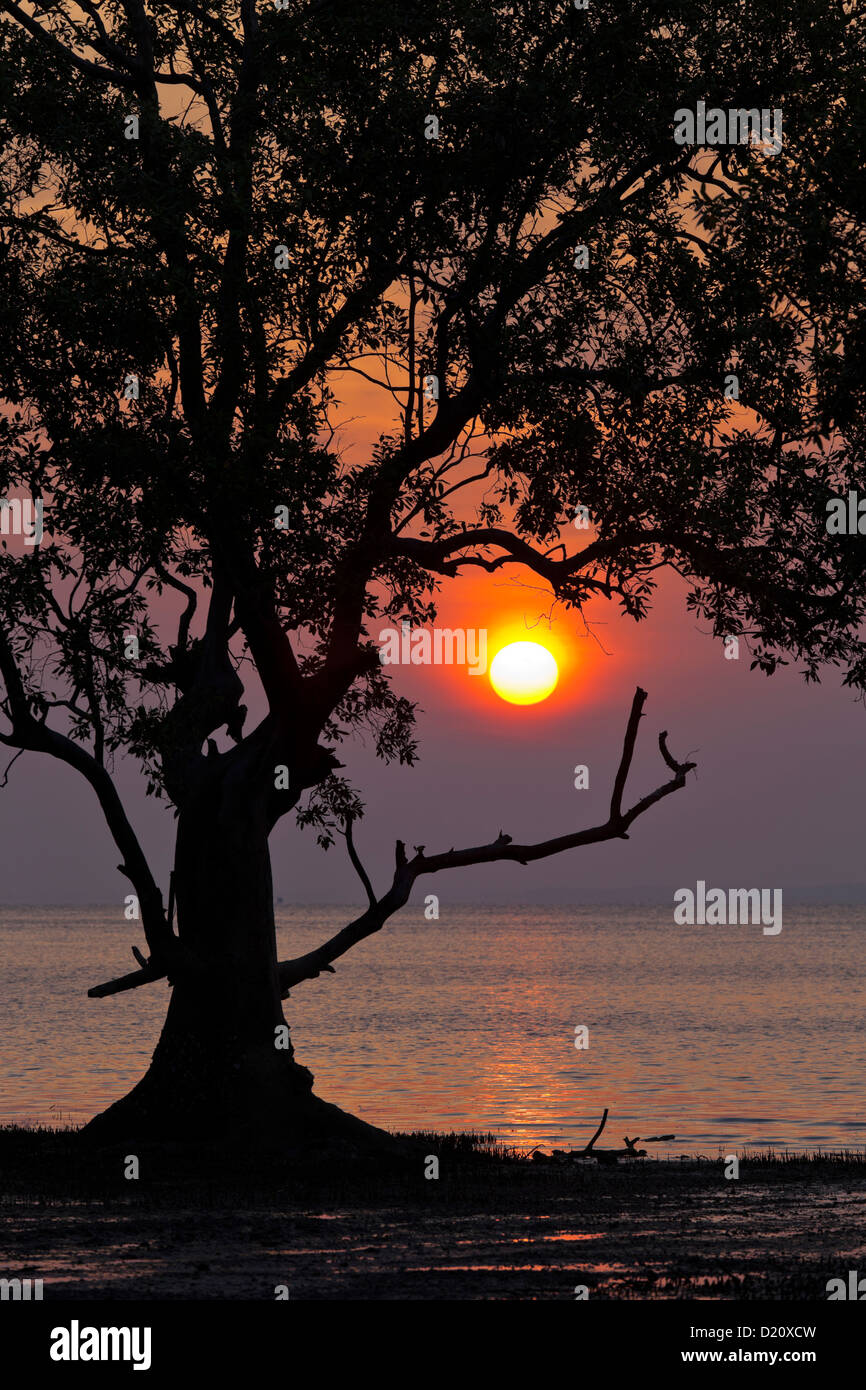 Sonnenaufgang am Railey East Beach, Ao Nang, Krabi, Thailand Stockfoto