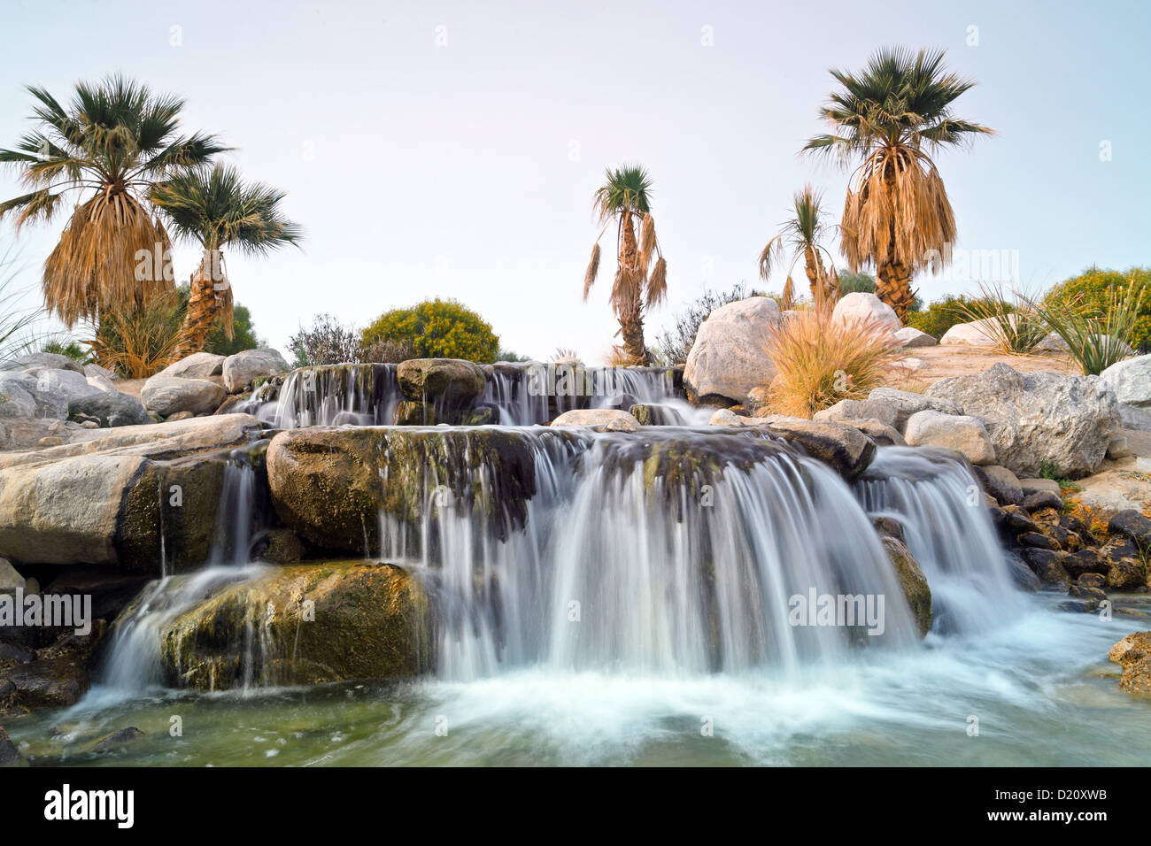 Die Feder am Borrego RV Park, Borrego Springs, CA, USA Stockfoto