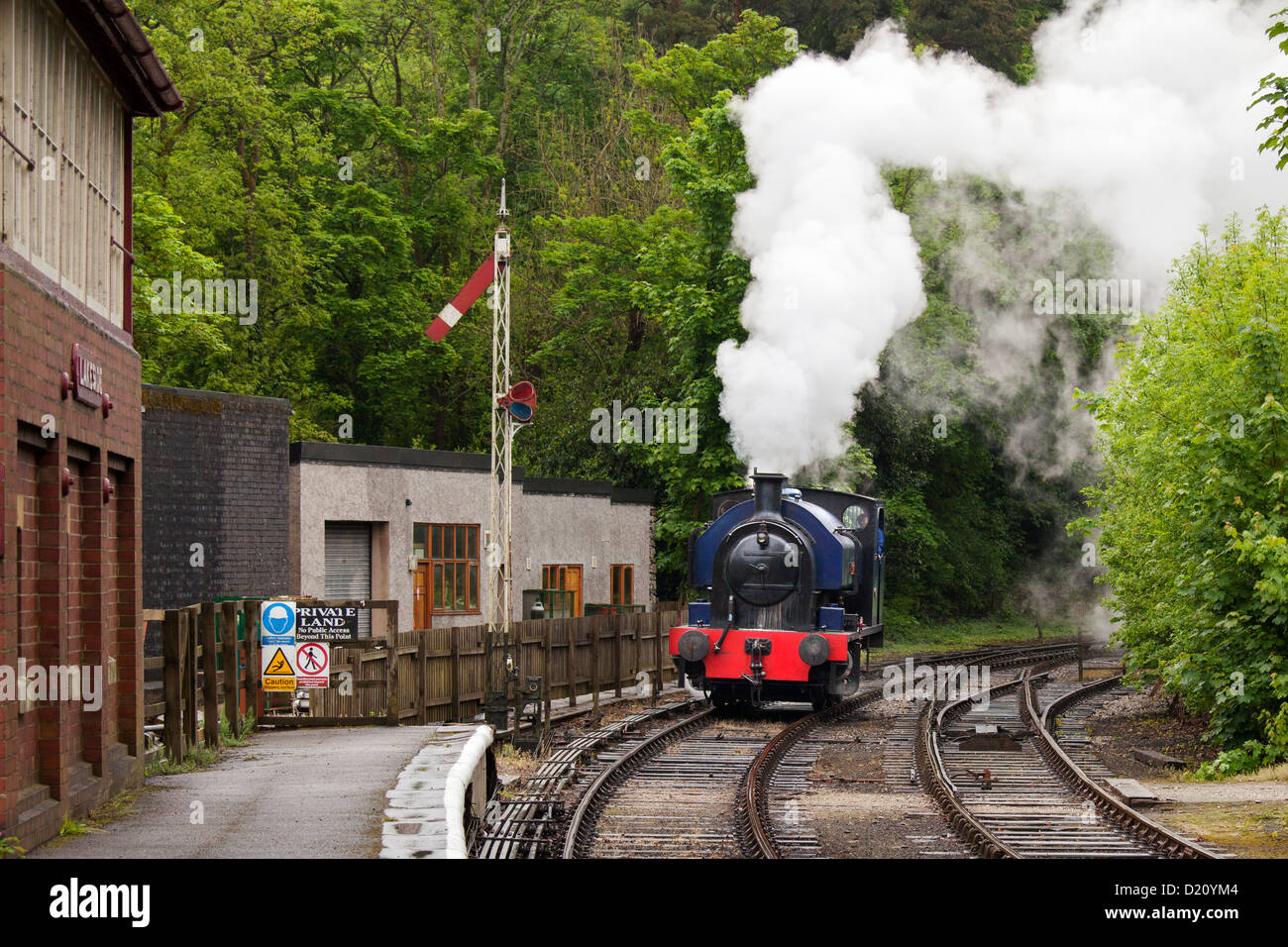Dampfzug Stockfoto