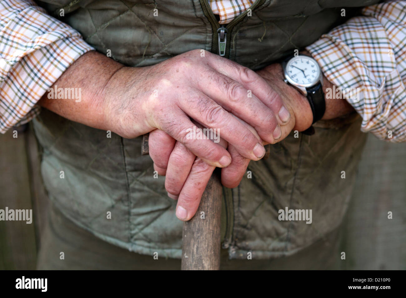 Männliche Schweinezüchter ruhenden Hände auf Spazierstock, New Forest, England, mittlerer Abschnitt Stockfoto