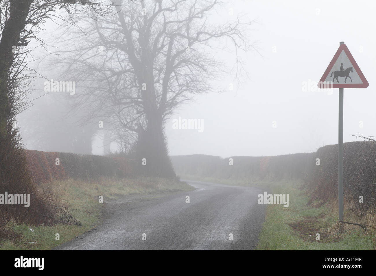 Renfrewshire, Schottland, Großbritannien, Donnerstag, 10th. Januar 2013. Eine leere Landstraße im Nebel mit begleiteten Pferden oder Ponys Warnschild. Stockfoto