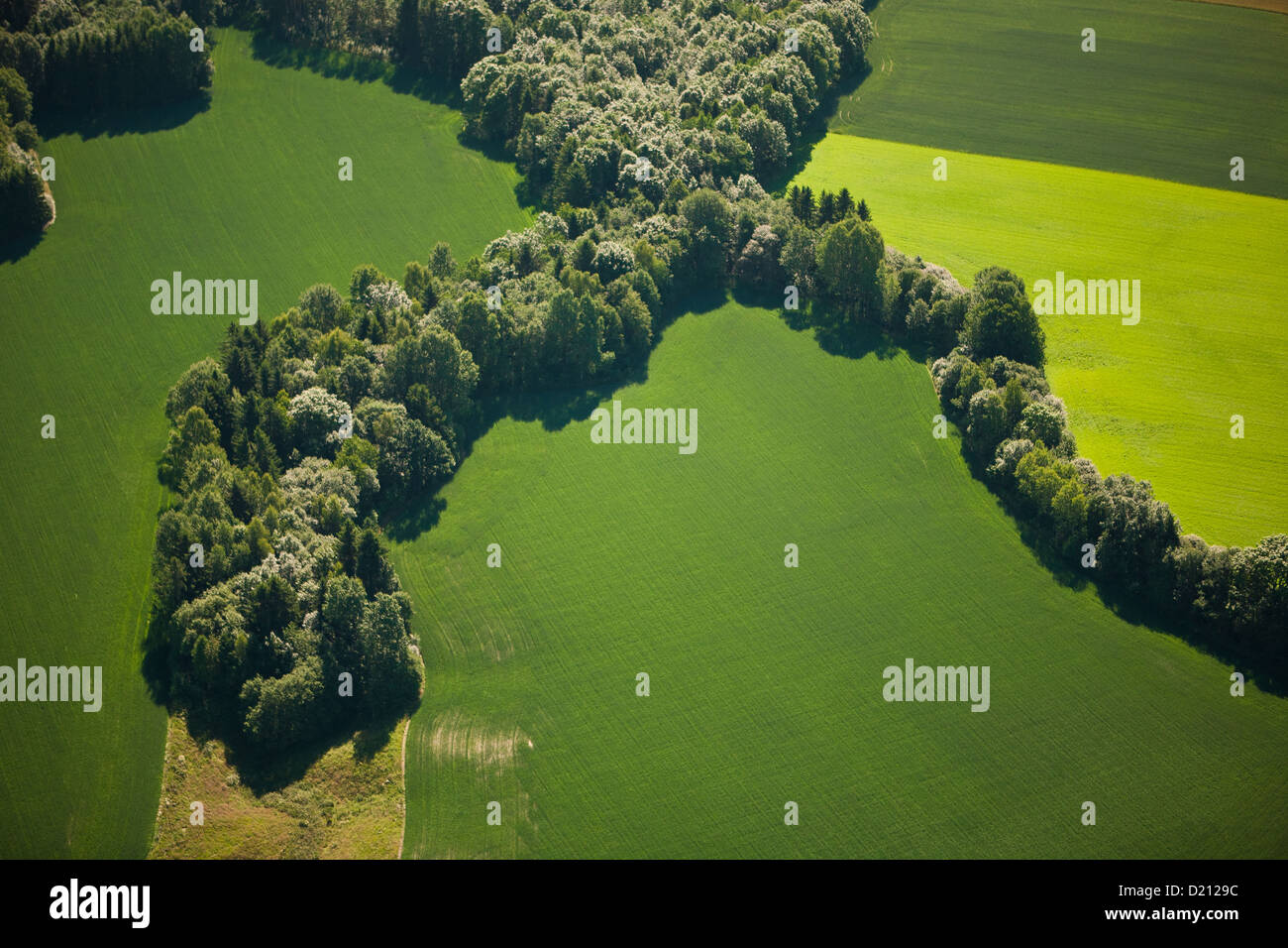 Luftaufnahme von grünen und gelben landwirtschaftlichen Feldern und Wäldern, in der Nähe von Lillestrøm, Akershus, Norwegen, Skandinavien. Stockfoto