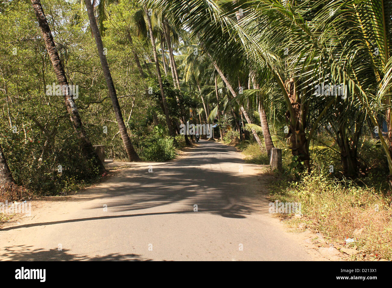 Leeren und verlassenen Dorfstraße in Kerala Indien Stockfoto