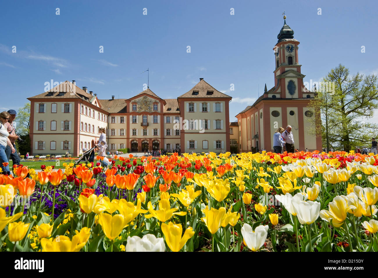 Blumenwiese mit Tulpen und Schloss Mainau, Insel Mainau, Bodensee, Baden-Württemberg, Deutschland, Europa Stockfoto
