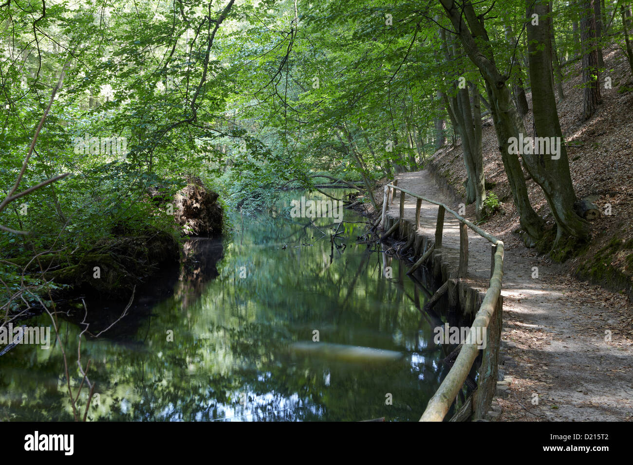 Weg entlang der Schlaube River in der Nähe Bremsdorf, Schlaube Valley Nature Park, Brandenburg, Deutschland Stockfoto