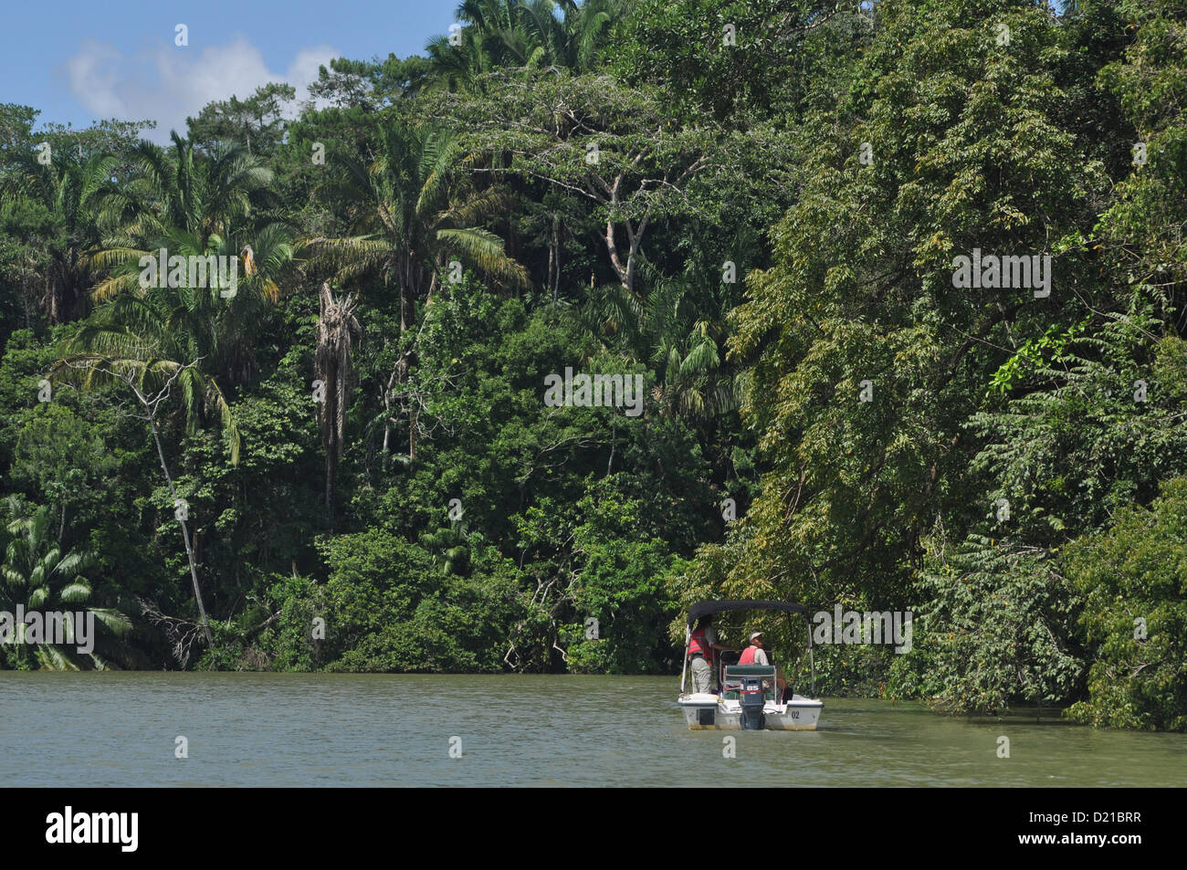 in der Nähe von Gamboa (Panama): Monkey Island, entlang des Kanals Stockfoto