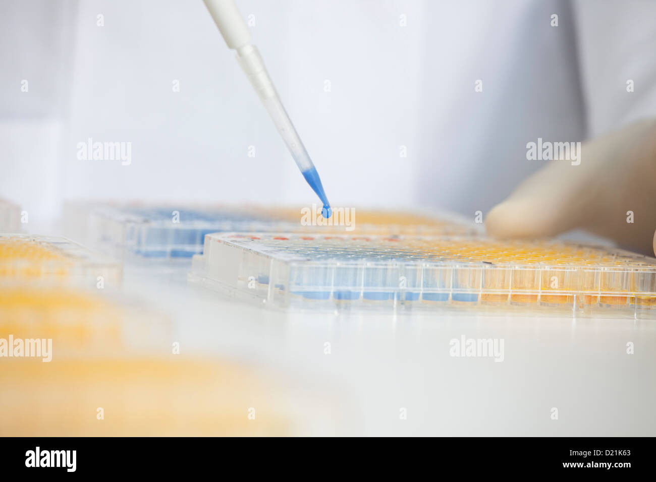 Deutschland, Bayern, München, Wissenschaftler arbeiten mit Chemikalien im Labor Stockfoto