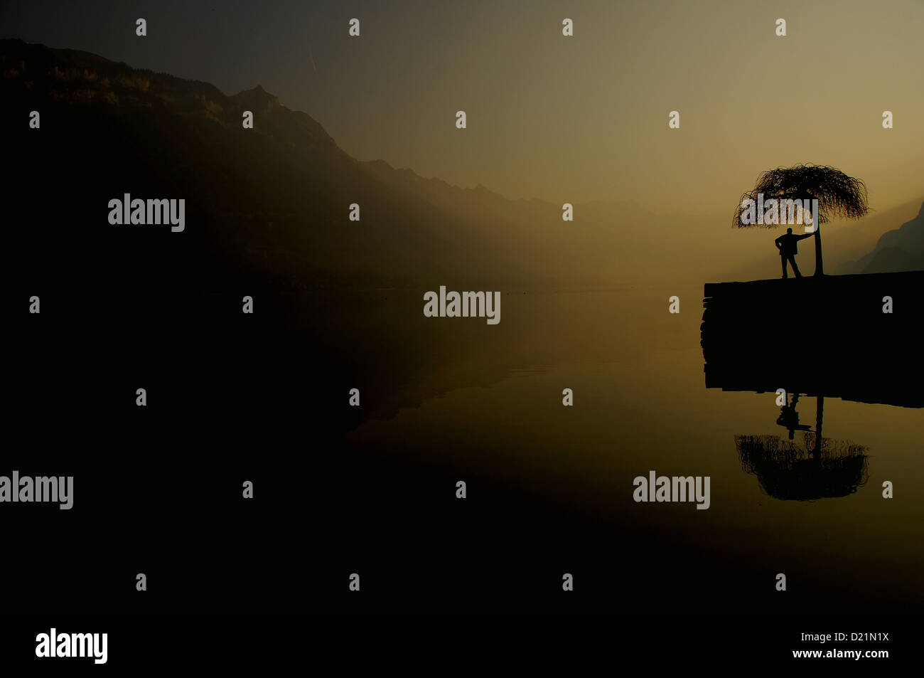 im Freien Schuss des Mannes entspannen Sie sich auf den Baum Stockfoto