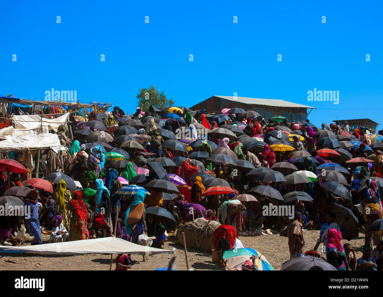 Markt-Tag, Bati, Amhara Region, Äthiopien Stockfoto