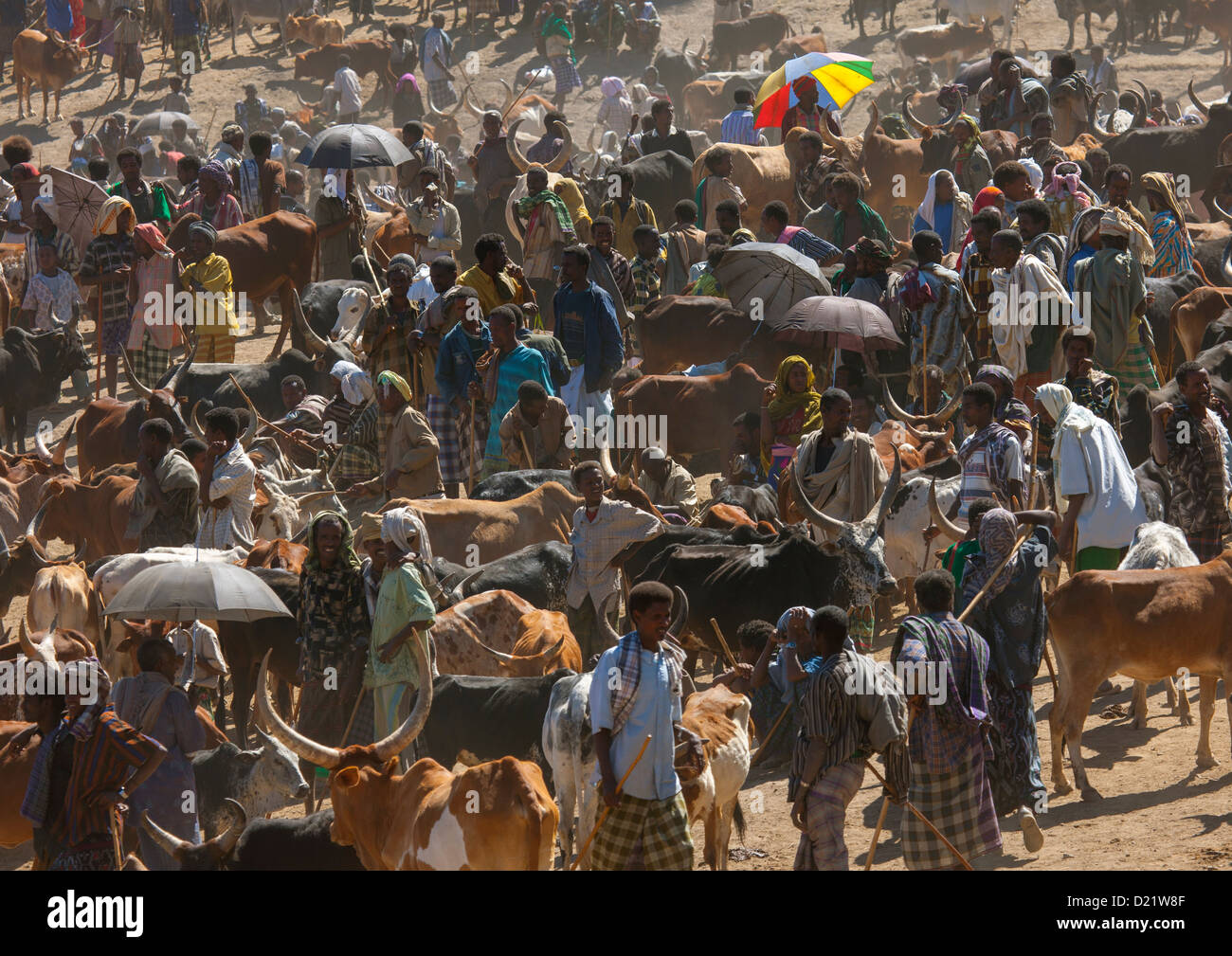 Markt-Tag, Bati, Amhara Region, Äthiopien Stockfoto