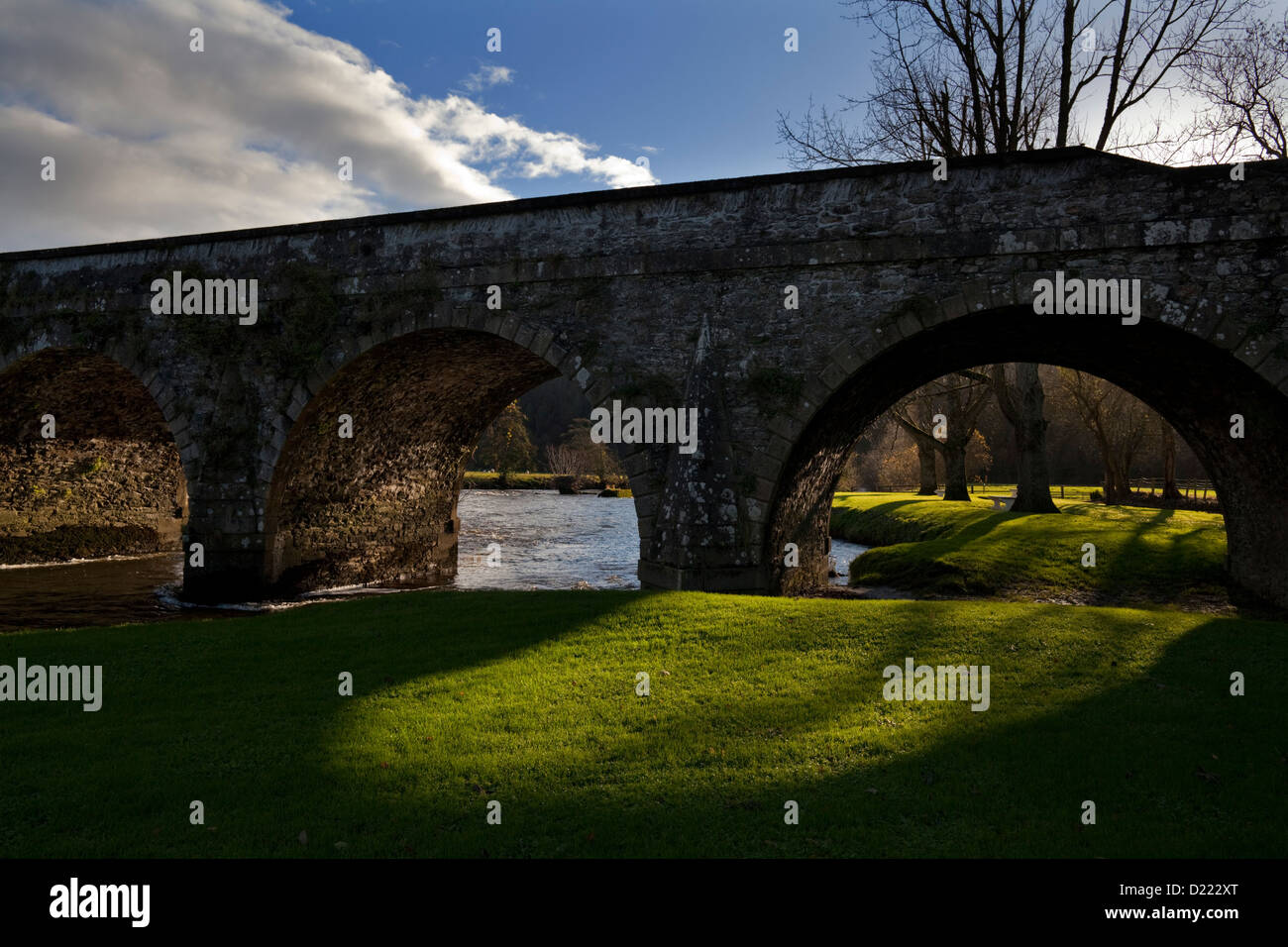 Die Brücke über den Fluss Nore, Inistioge, Grafschaft Kilkenny, Irland Stockfoto