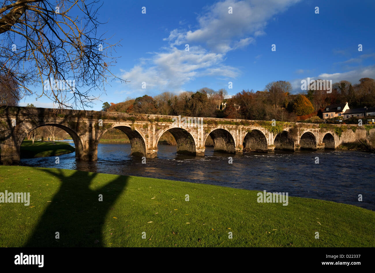 Die alte Brücke über den Fluss Nore, Inistioge, Grafschaft Kilkenny, Irland Stockfoto