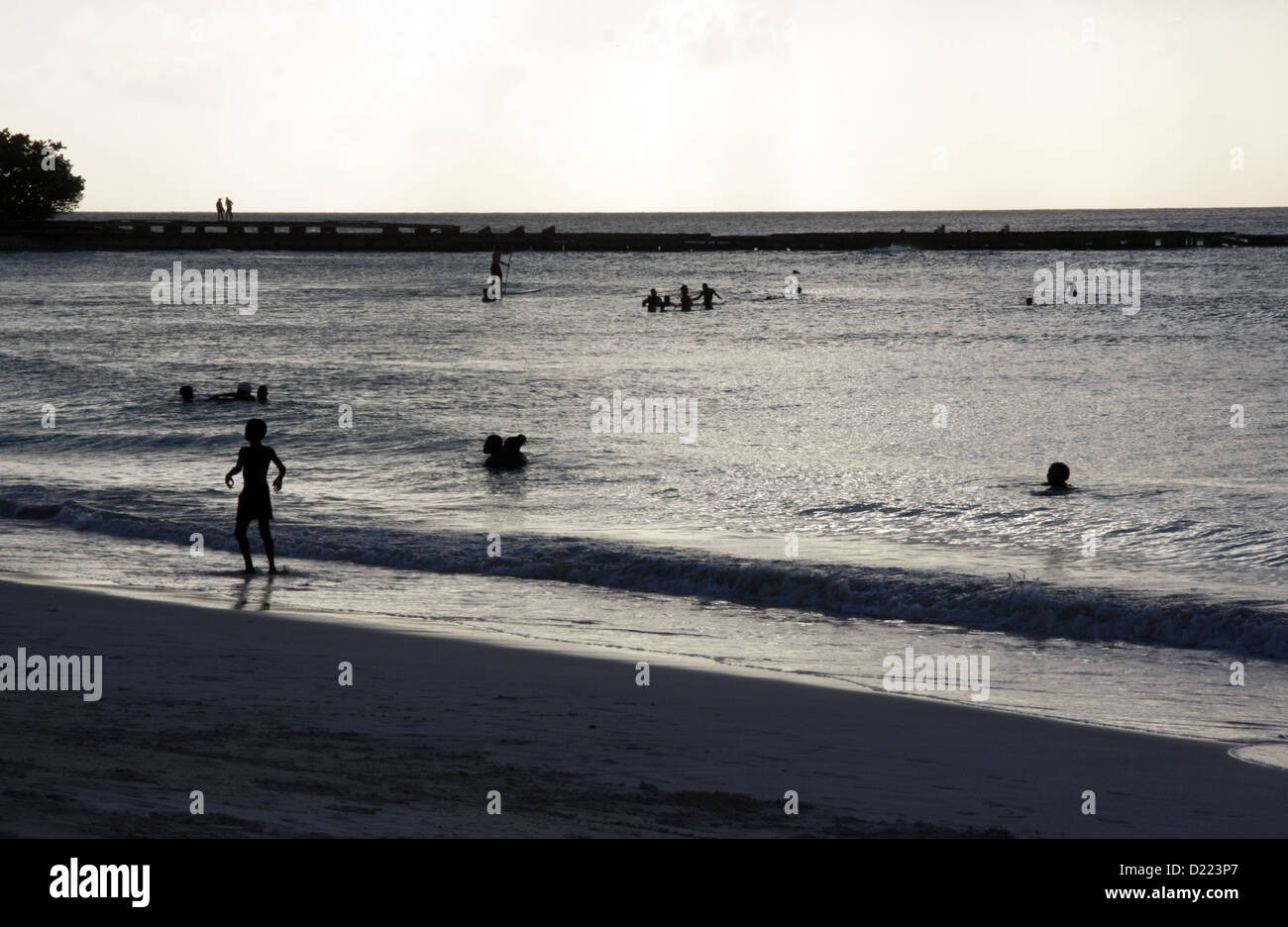 Schwimmer, Baden in der Abenddämmerung in der Nähe von Needham Punkt, Barbados Stockfoto