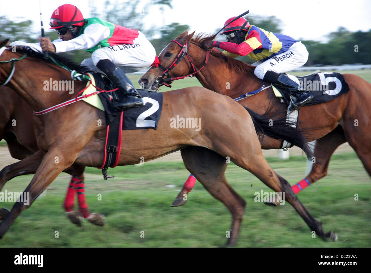 Pferderennen auf der Rennbahn von Savannah, Bridgetown, Barbados Stockfoto