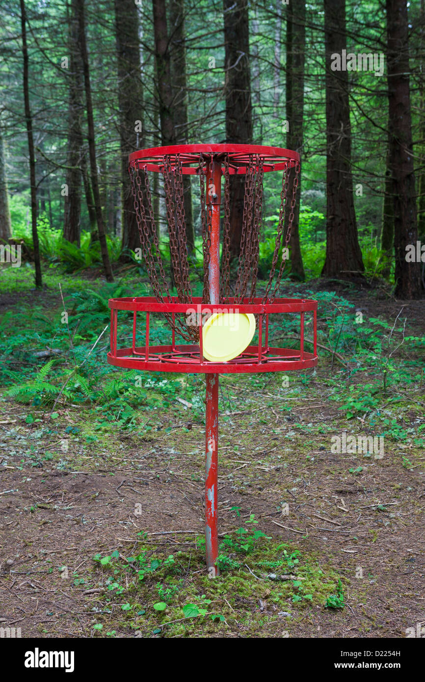 Frisbee-Golf im Wald, Oregon Stockfoto