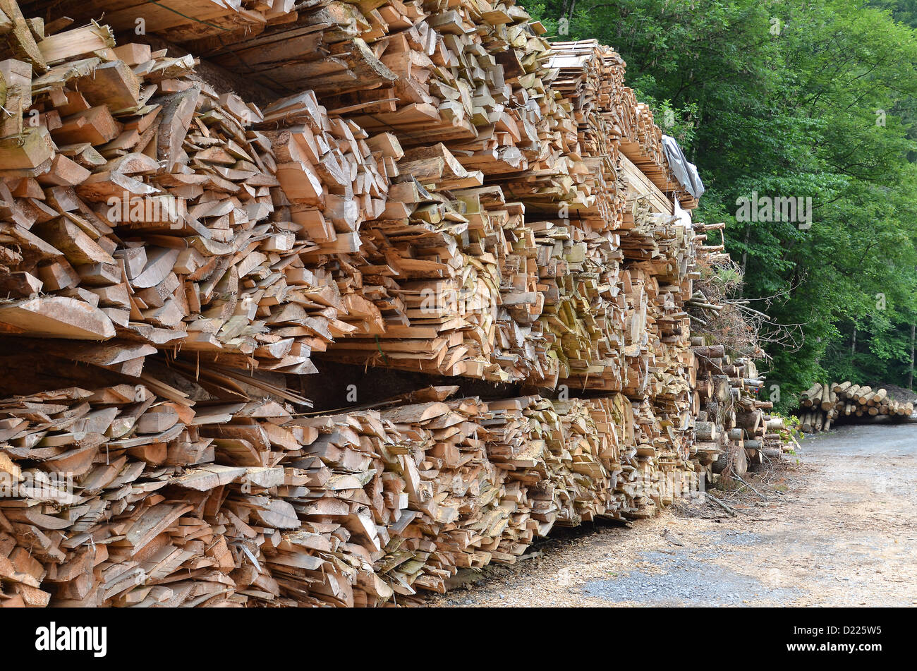 Große Längen von Holz-Stecklinge und Reste aus dem Sägewerk, gestapelt und warten auf Sammlung. Stockfoto