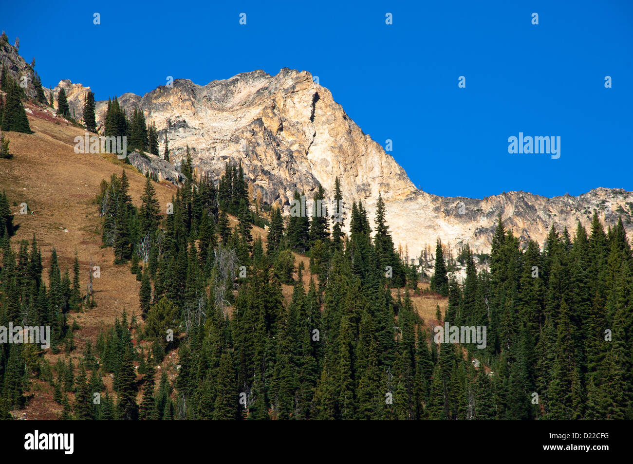 Granitfelsen über North Cascades Highway, National Forest Okanogan-Wenatchee, Washington, USA Stockfoto
