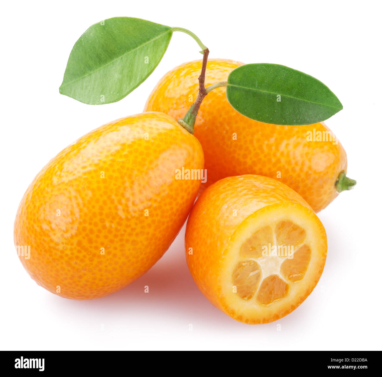 Kumquat mit Blättern auf einem weißen Hintergrund. Stockfoto