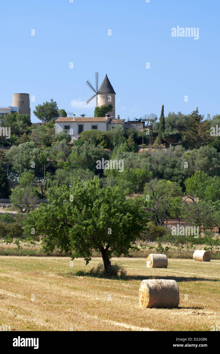 Santa Eugenia, Mallorca, Mallorca Stockfoto