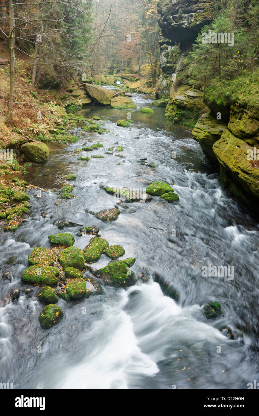 Kamenice Schlucht, Ceske Svycarsko, Nord-Böhmen, Tschechische Republik Stockfoto