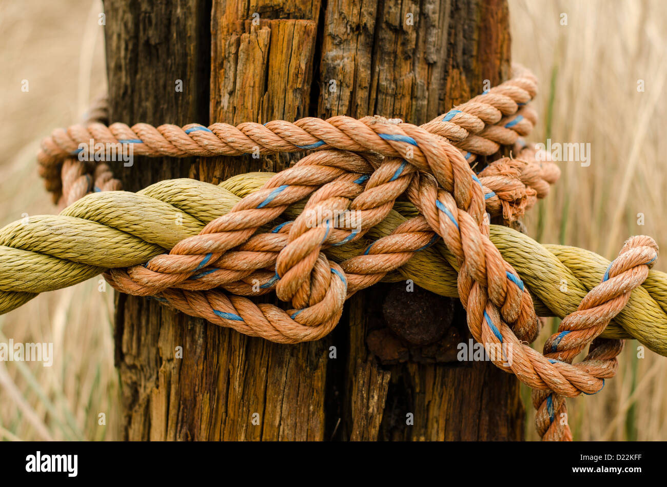 Boot Seil um Holzpfosten Stockfoto