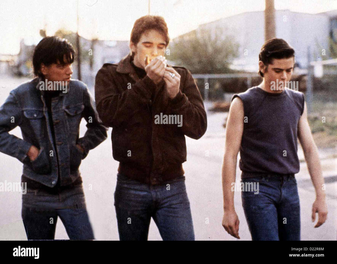 Sterben Aussenseiter Außenseiter, die Ralph Macchio, Matt Dillon, C. Thomas Howell *** lokalen Caption *** 1982-- Stockfoto