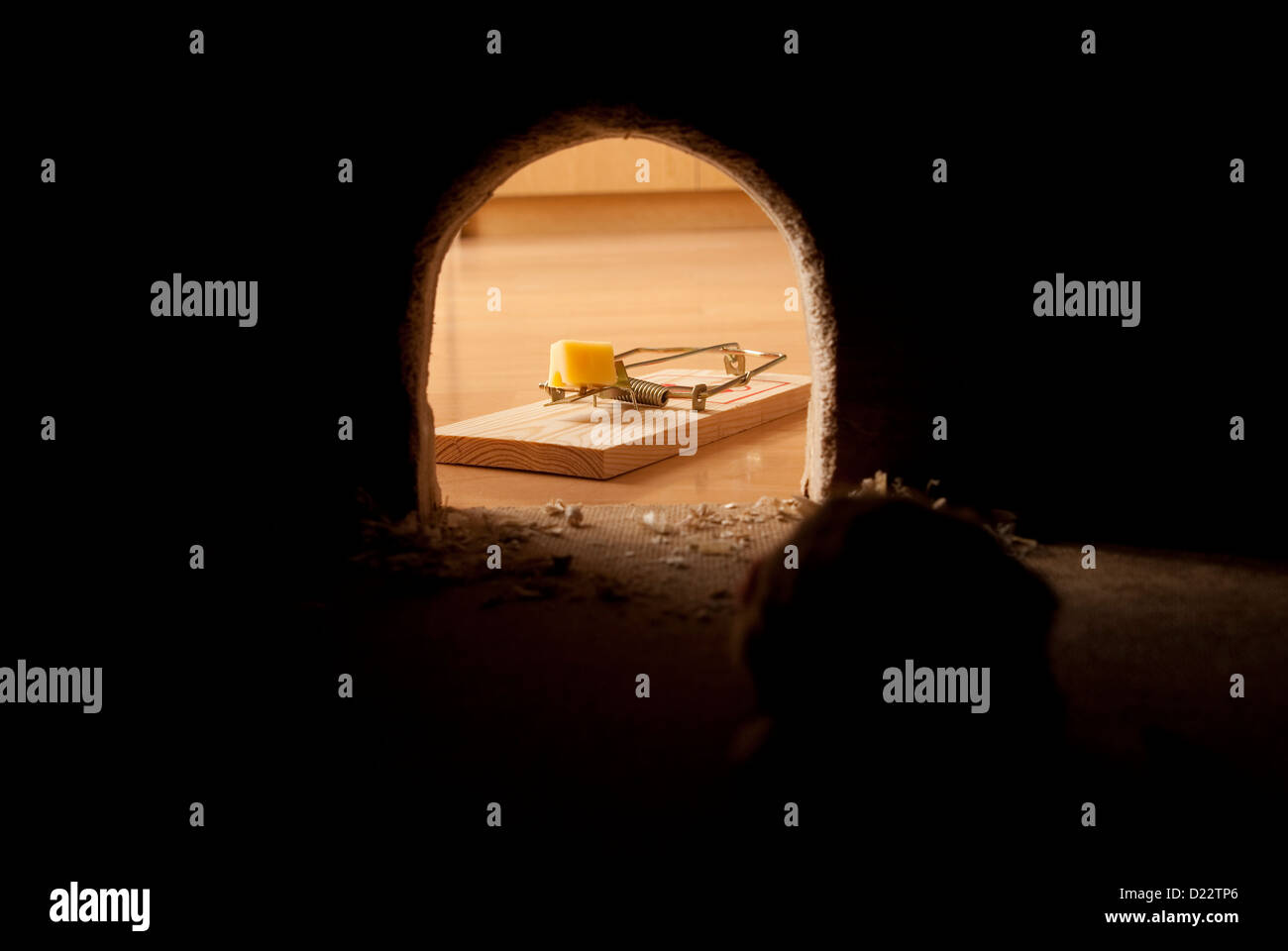 Rattenloch dunkel und Trap mit Käse Stockfoto
