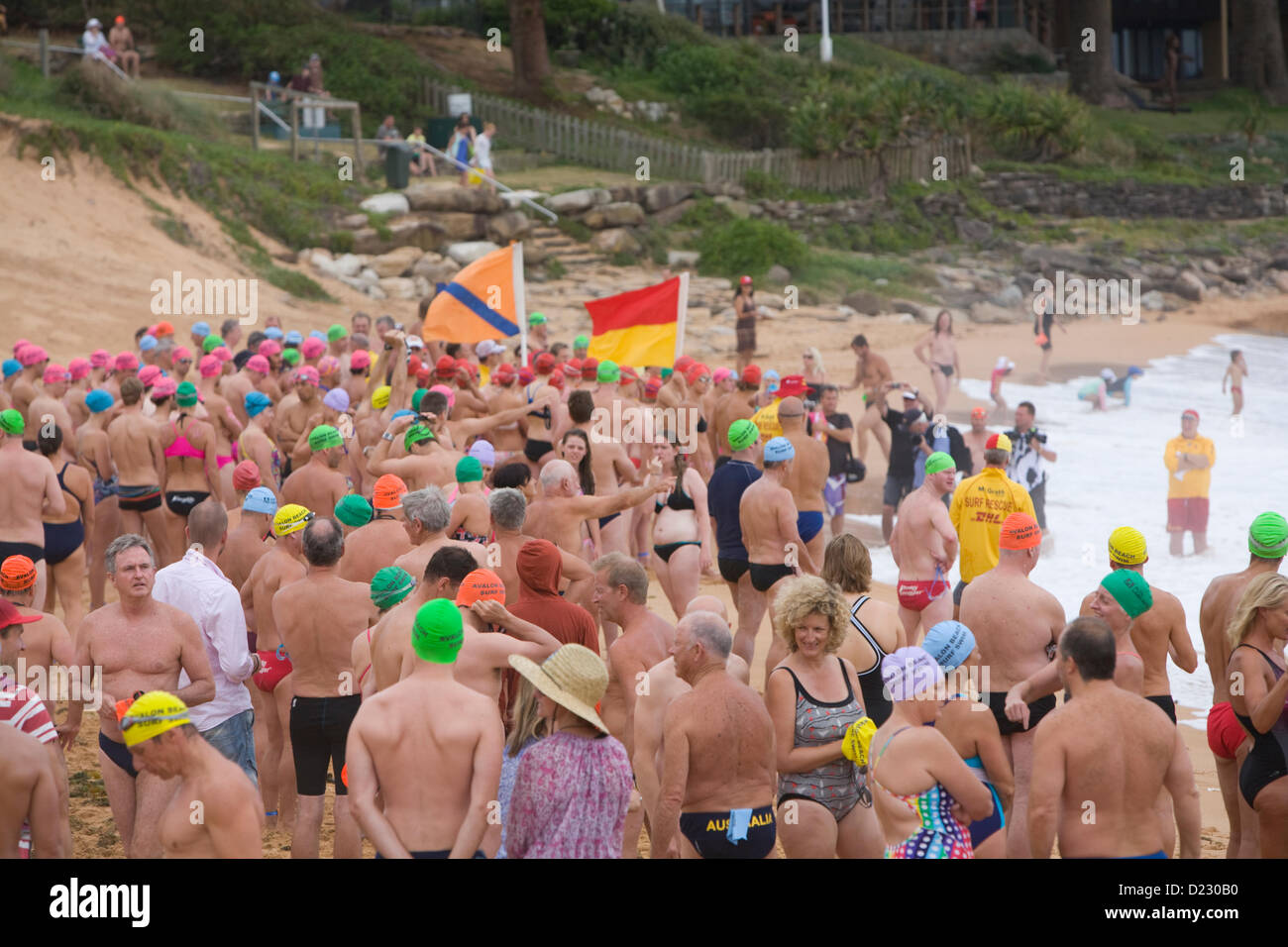 Sydney, Australien. 13. Januar 2013. Das Avalon Beach 1,5km Ocean Swim Race, Teil der pittwater Ocean Swim Reihe von Veranstaltungen, Avalon Beach, Sydney. Schwimmerrennen Männer und Frauen versammeln sich vor Beginn des Schwimmerrennen am Avalon Beach. Stockfoto