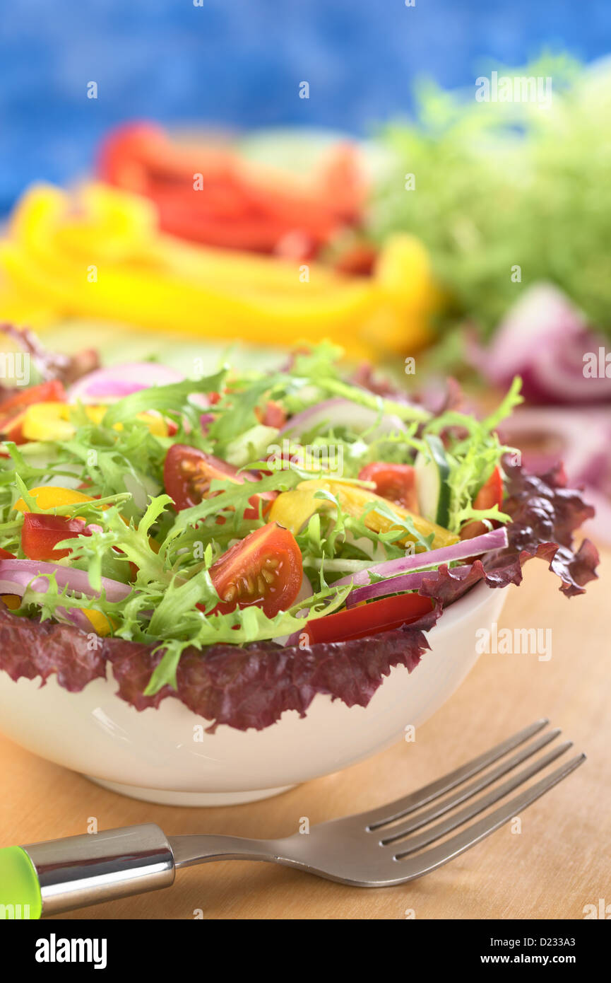 Frischer gemischter Salat aus roten Blattsalat, Endivien (Frisee), Cherry-Tomate, rote Zwiebel, Gurke, rote und gelbe Paprika Stockfoto