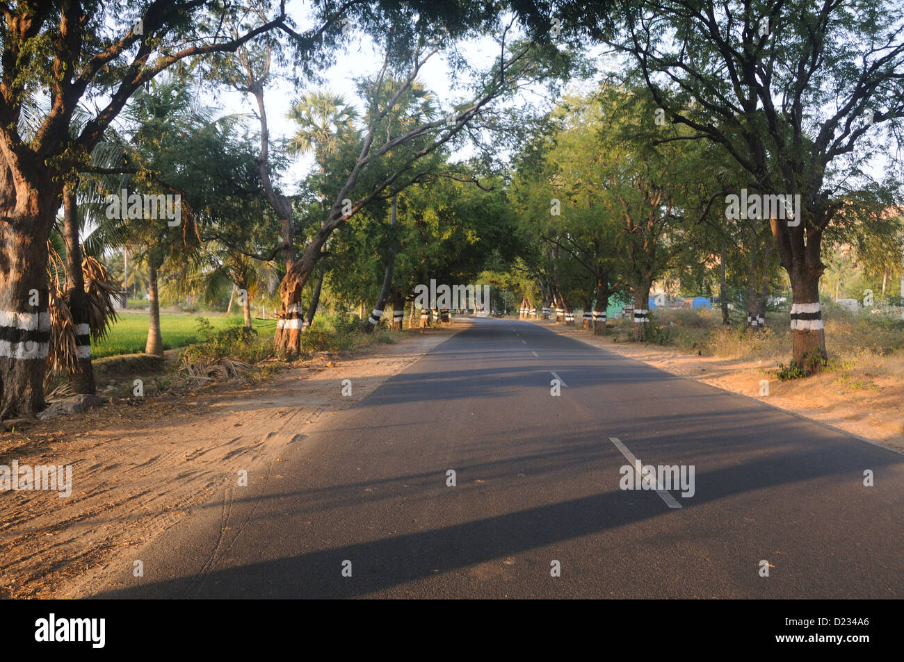 Road to erodieren, Tamil Nadu, Indien Stockfoto