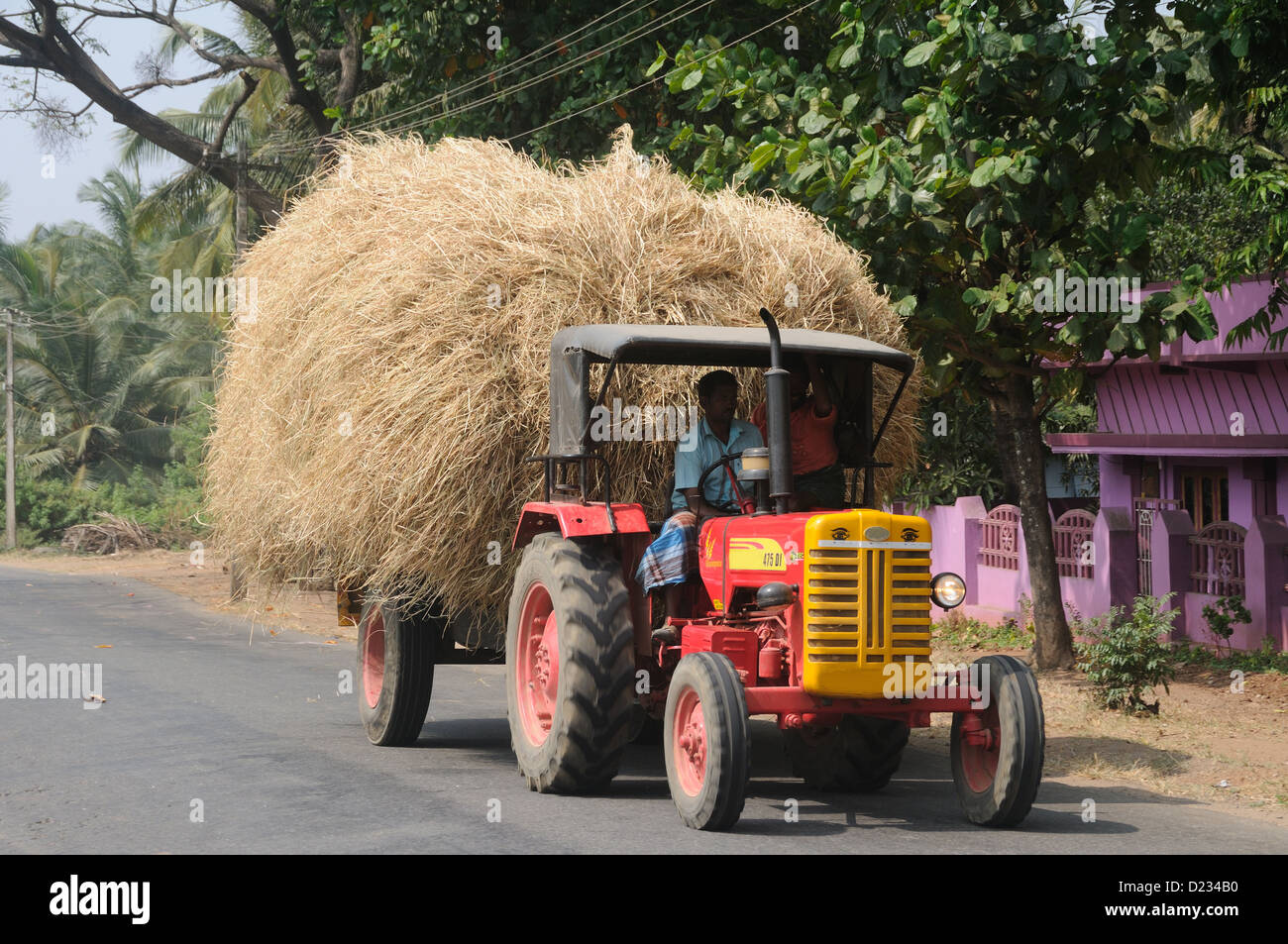 Ein Traktor mit Futter/Heu, Erodieren, Tamil Nadu, Indien Stockfoto