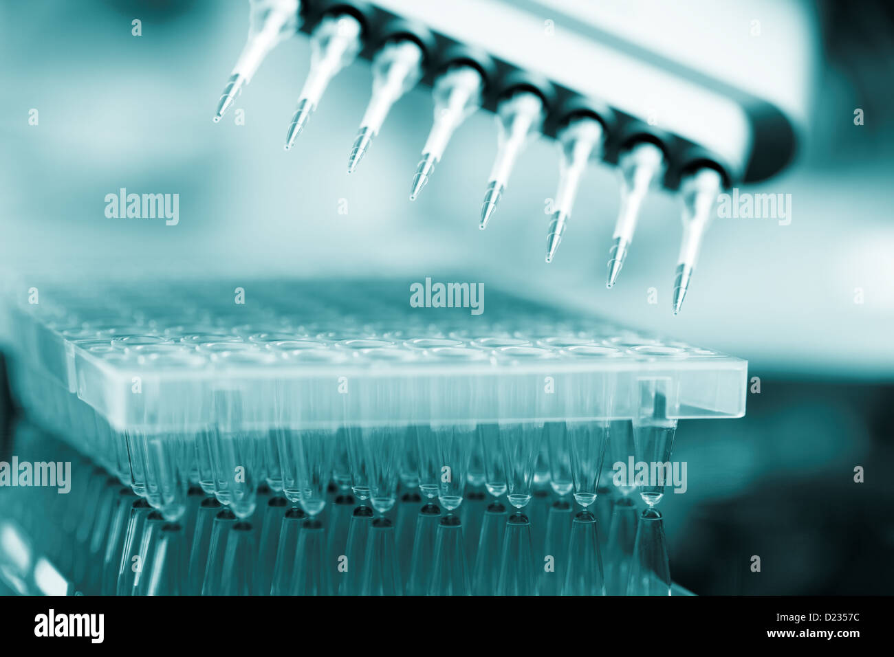 Multi-Pipette wird verwendet, um die Brunnen von einem Multi-gut Probenteller füllen Stockfoto