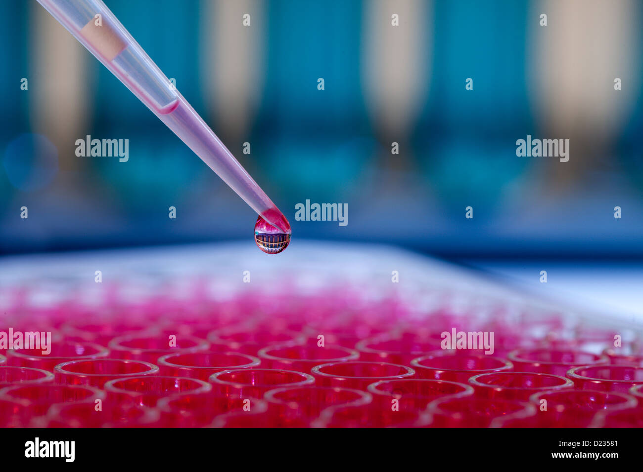 Pipette mit Tropfen Flüssigkeit in einem chemischen Labor Stockfoto