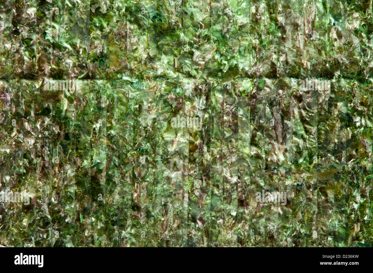 Grüne Algen Nori Sushi drehen Stockfoto