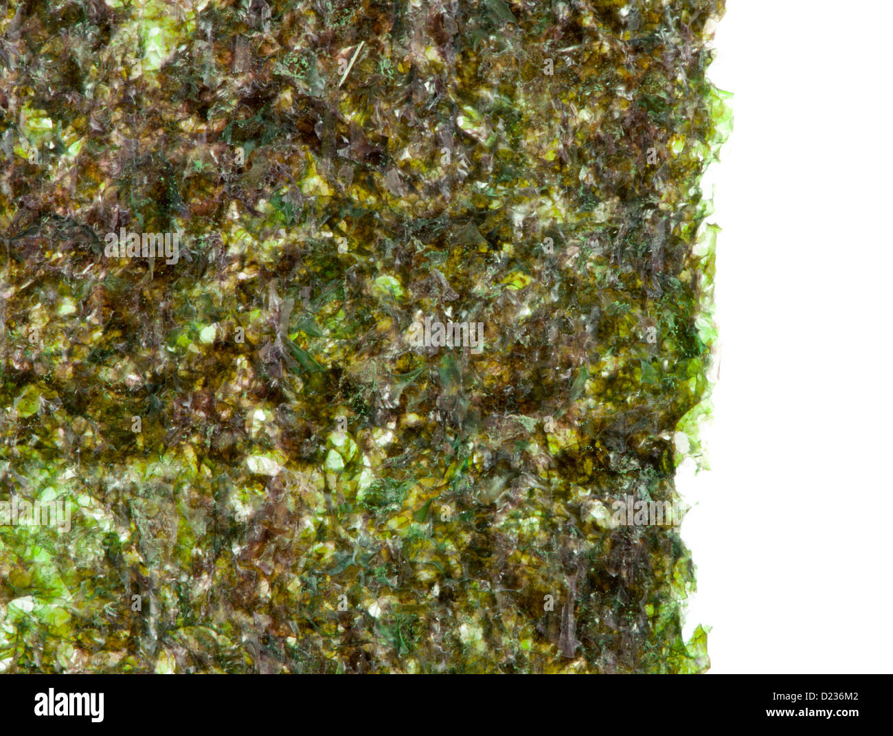 Grüne Algen Nori Sushi drehen Stockfoto