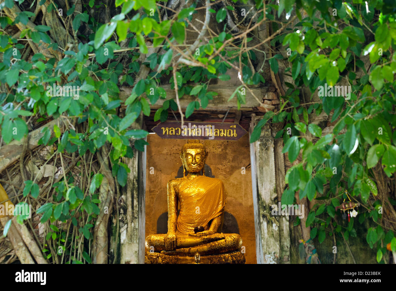 Goldene Buddha-Statue im Tempel Wat Bang Kung, Thailand Stockfoto
