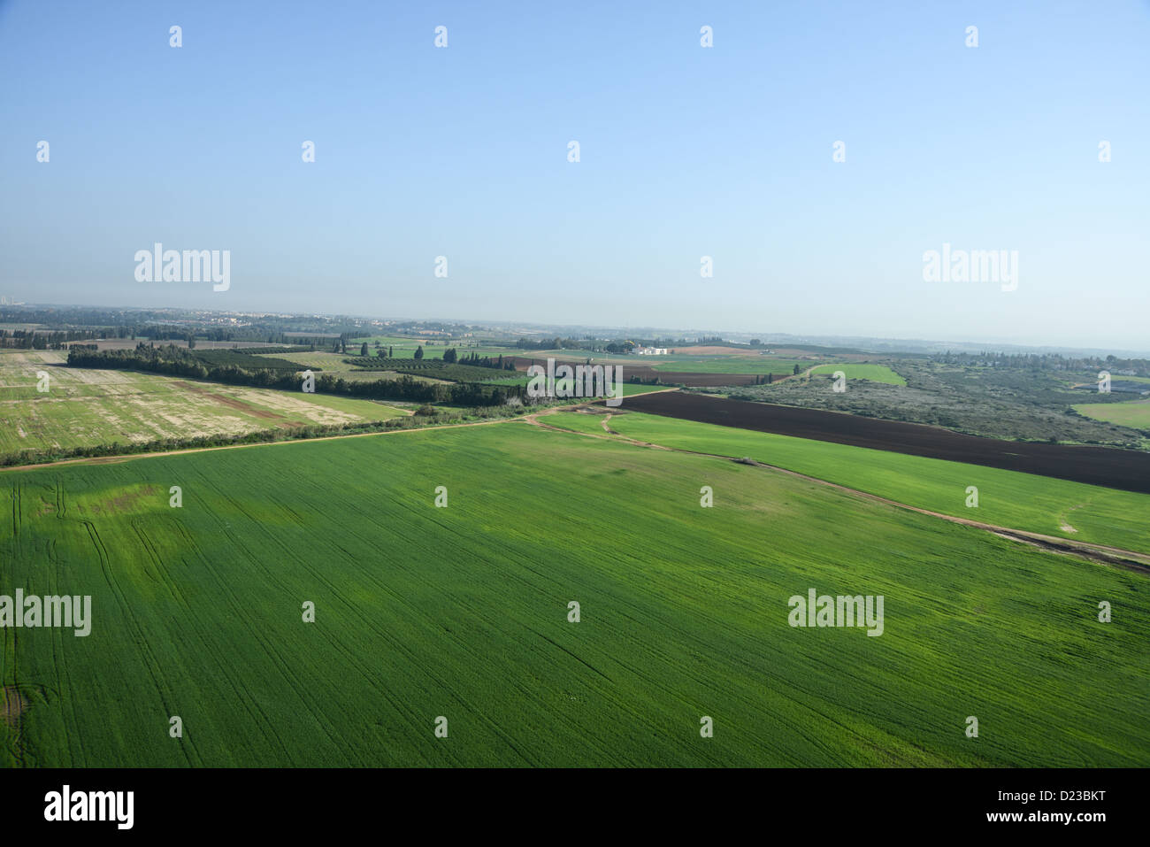 Israel, Küstenebenen Kibbuz Shefayim Stockfoto
