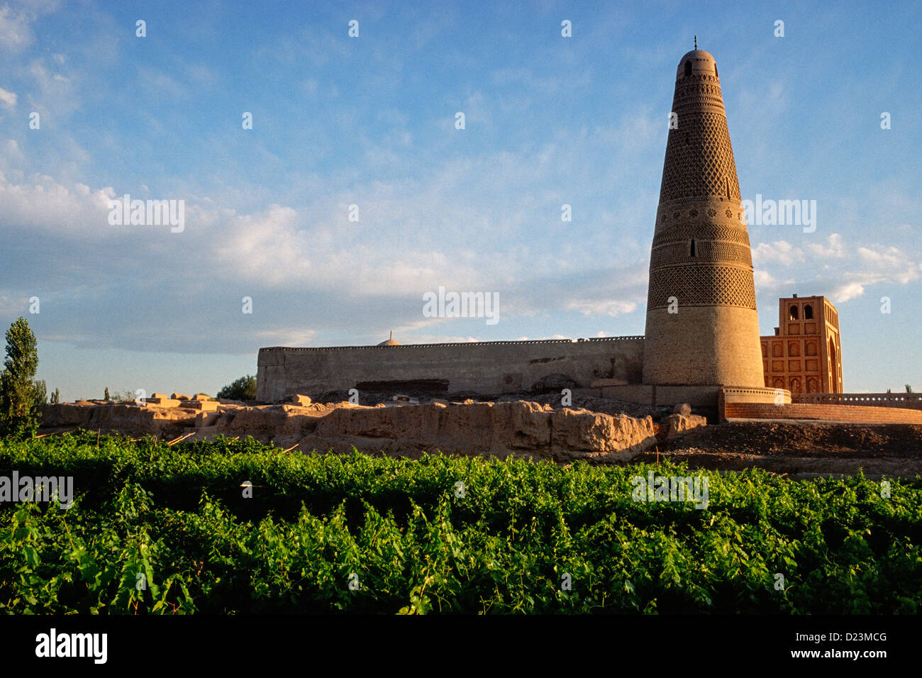 China, Provinz Xinjiang, Turpan, Emin Minarett, Sugong Moschee und Weinberge Stockfoto