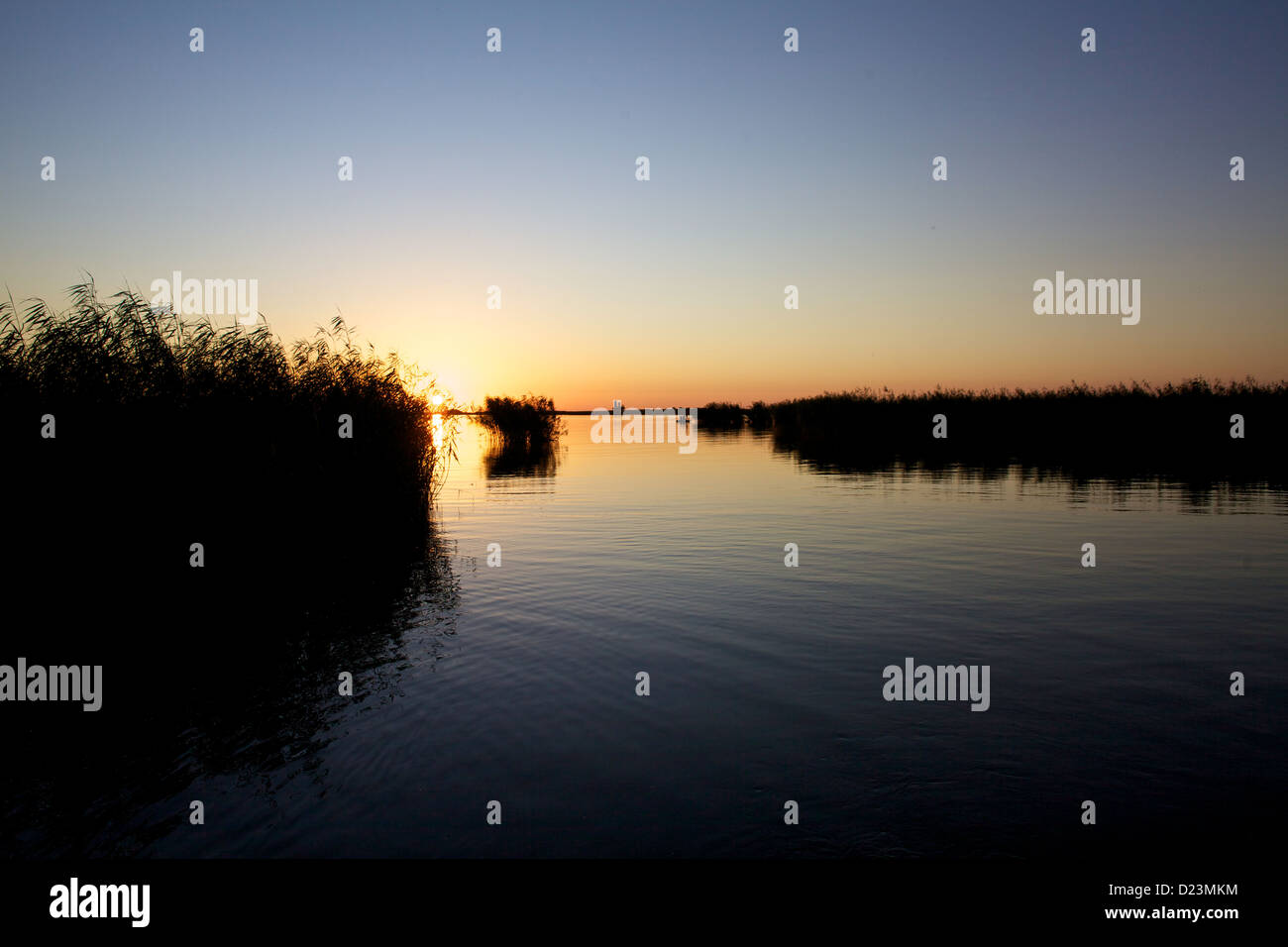 Sonnenuntergang im Louisiana-Delta mit ruhigem Wasser und Silhouetten von Sumpfgräsern unter einem goldenen und orangen Himmel Stockfoto