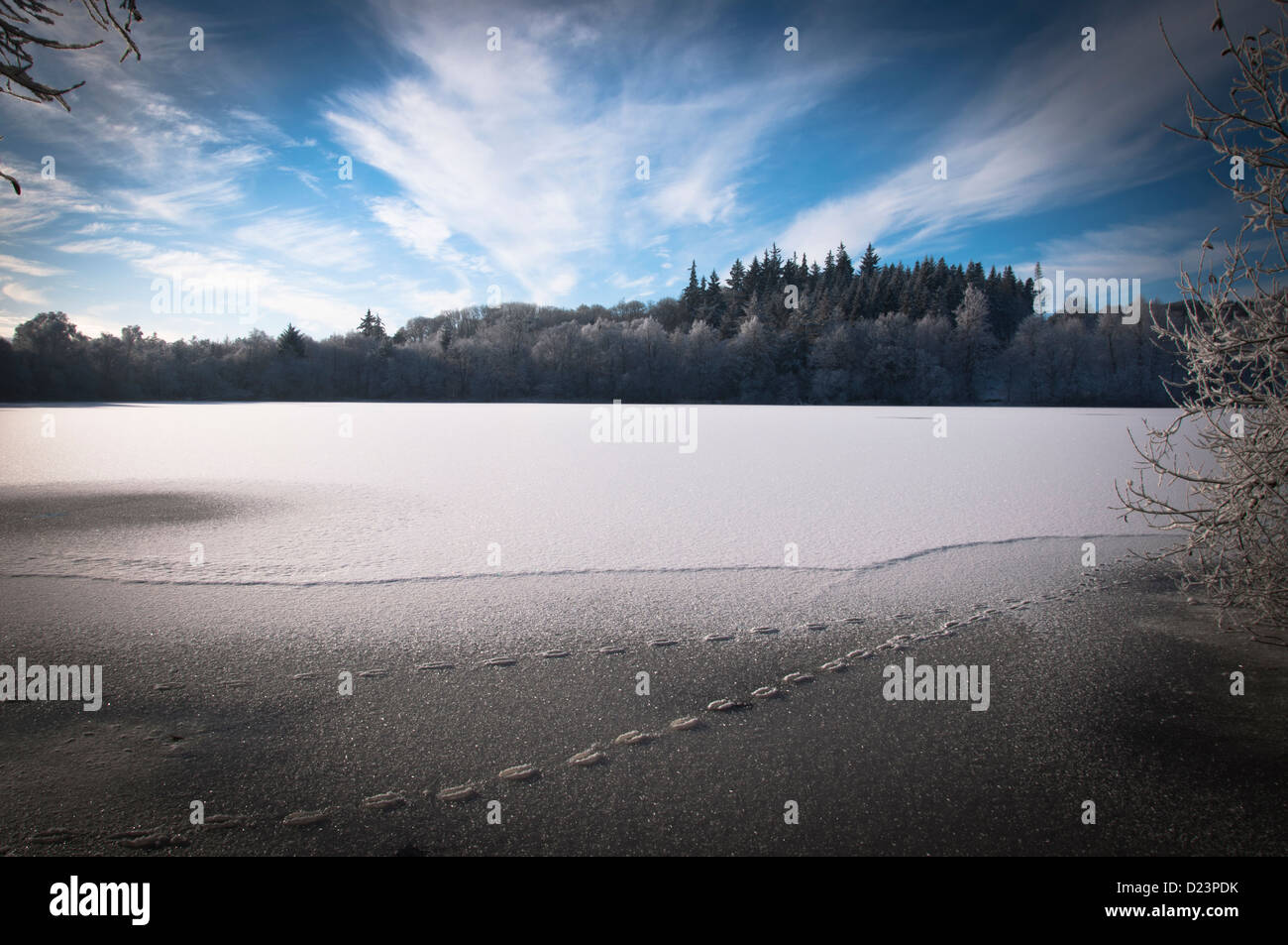 gefrorene See Winter Schnee Landschaftsbäume Stockfoto