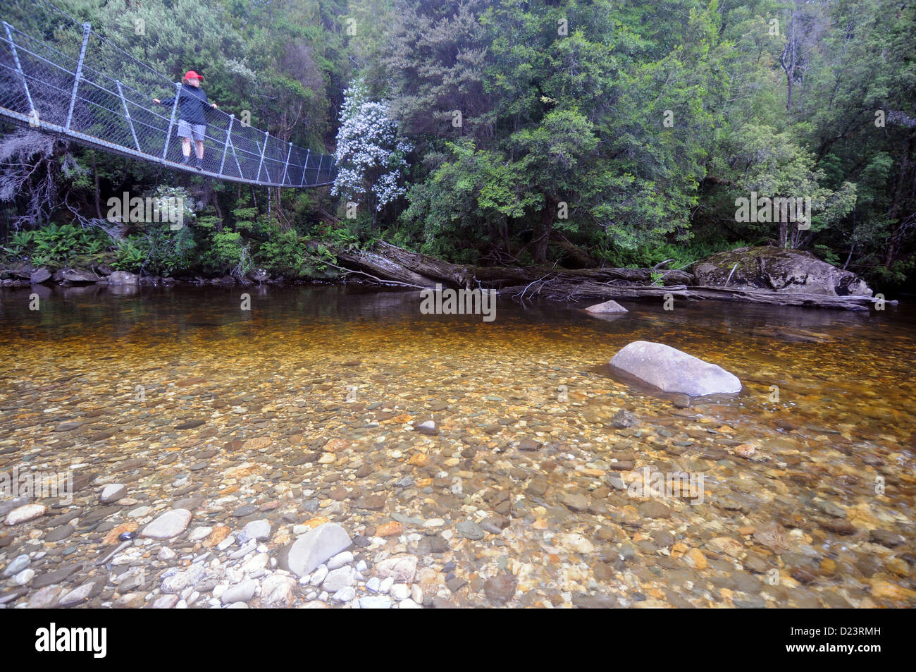 Wanderer auf Drehbrücke über den Franklin River, des Franzosen Cap Track, Wild Rivers National Park, Tasmanien, Australien Stockfoto