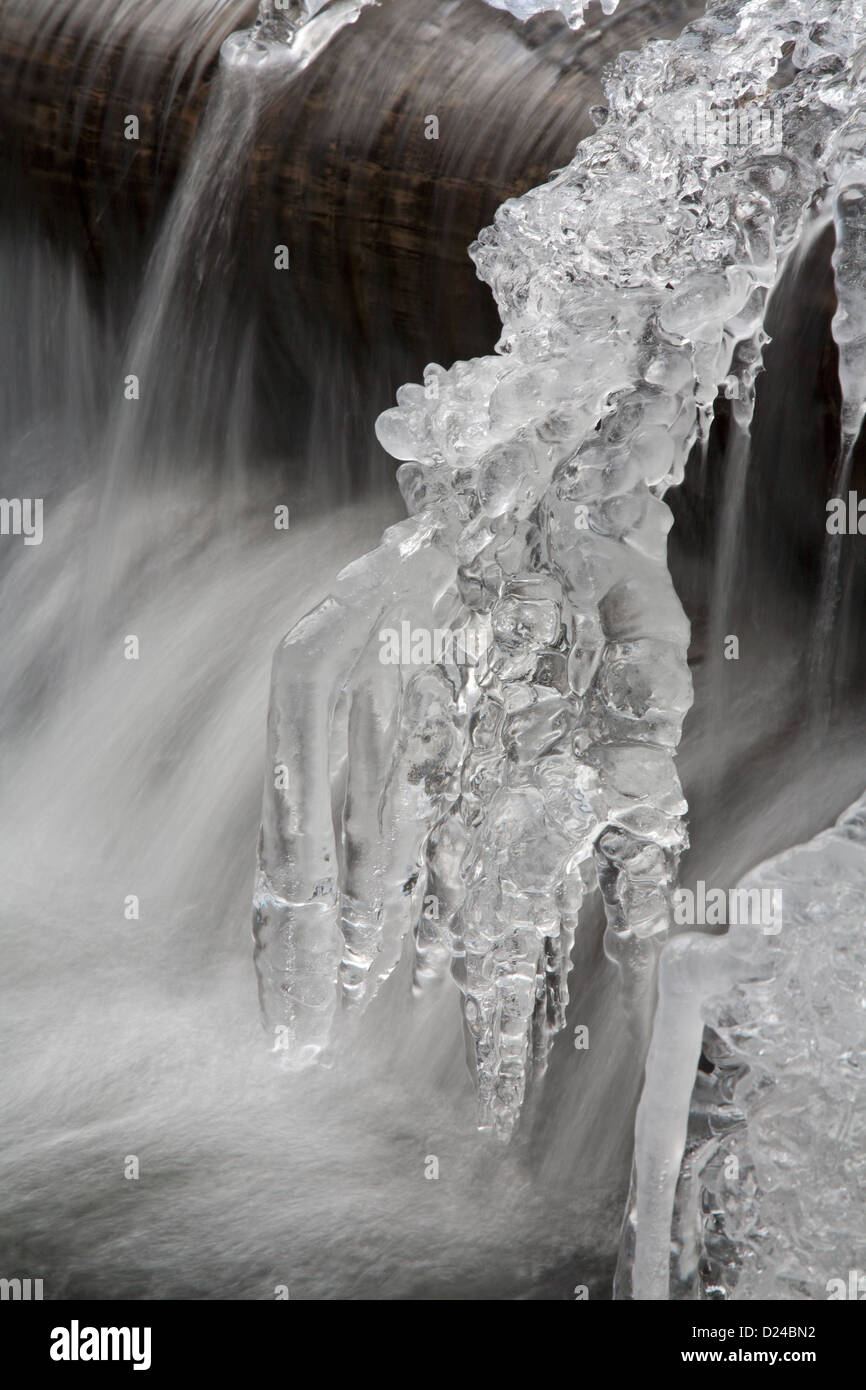 Eiszapfen vom Winter creek Stockfoto