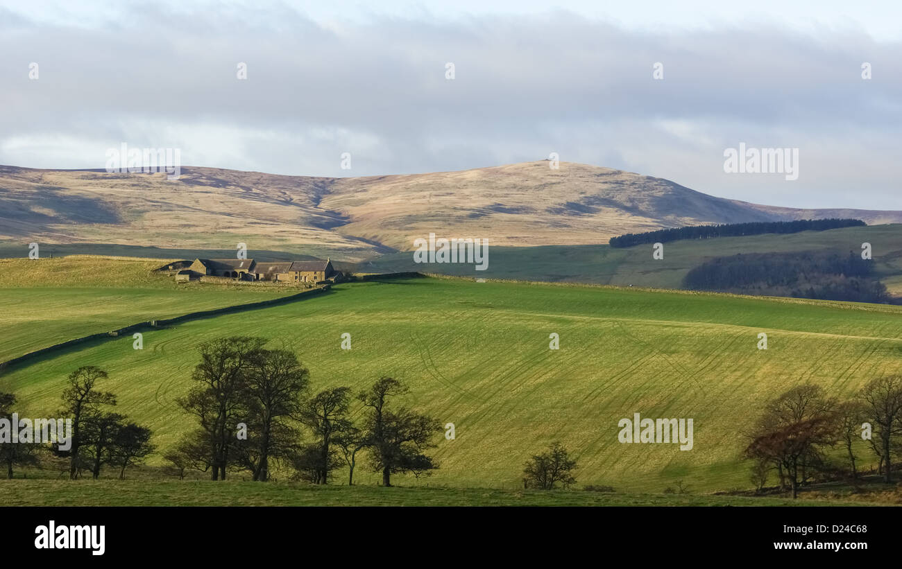 Bauernhof In den Cheviot Hills, Northumberland, UK. Stockfoto