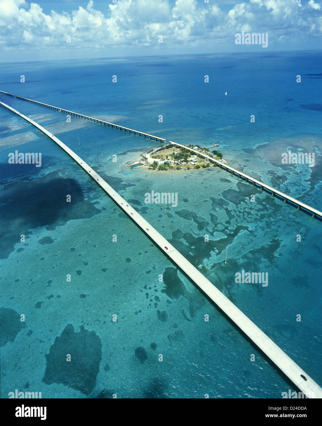 TAUBE WICHTIGE SEVEN MILE BRIDGE MONROE COUNTY FLORIDA USA Stockfoto