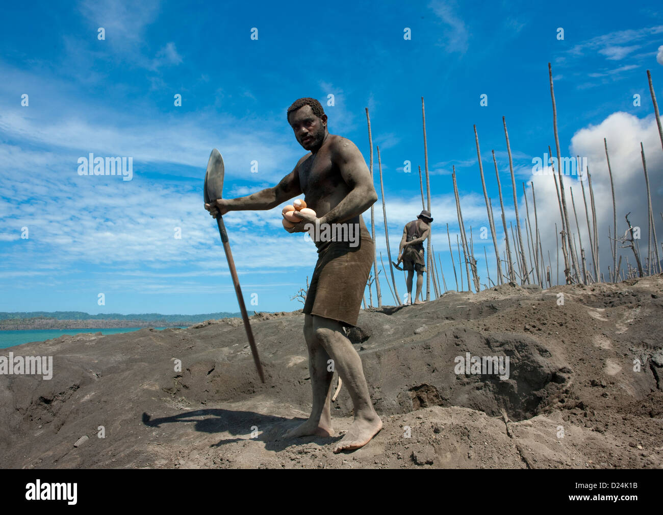 Mann Graben Megapode finden Vögel Eiern In Tavurvur Vulkan Sand, Rabaul, Papua-Neu-Guinea Insel Neubritannien Stockfoto