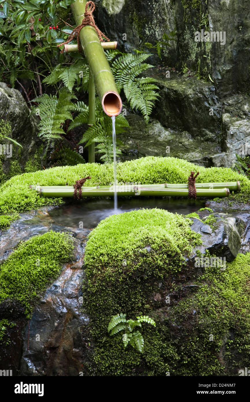 Ein mit Moos bedeckter Stein-Tsukubai oder ein Wasserbecken für rituelle Waschungen in den 20c Gärten des Adachi Museum of Art, Matsue, Japan Stockfoto