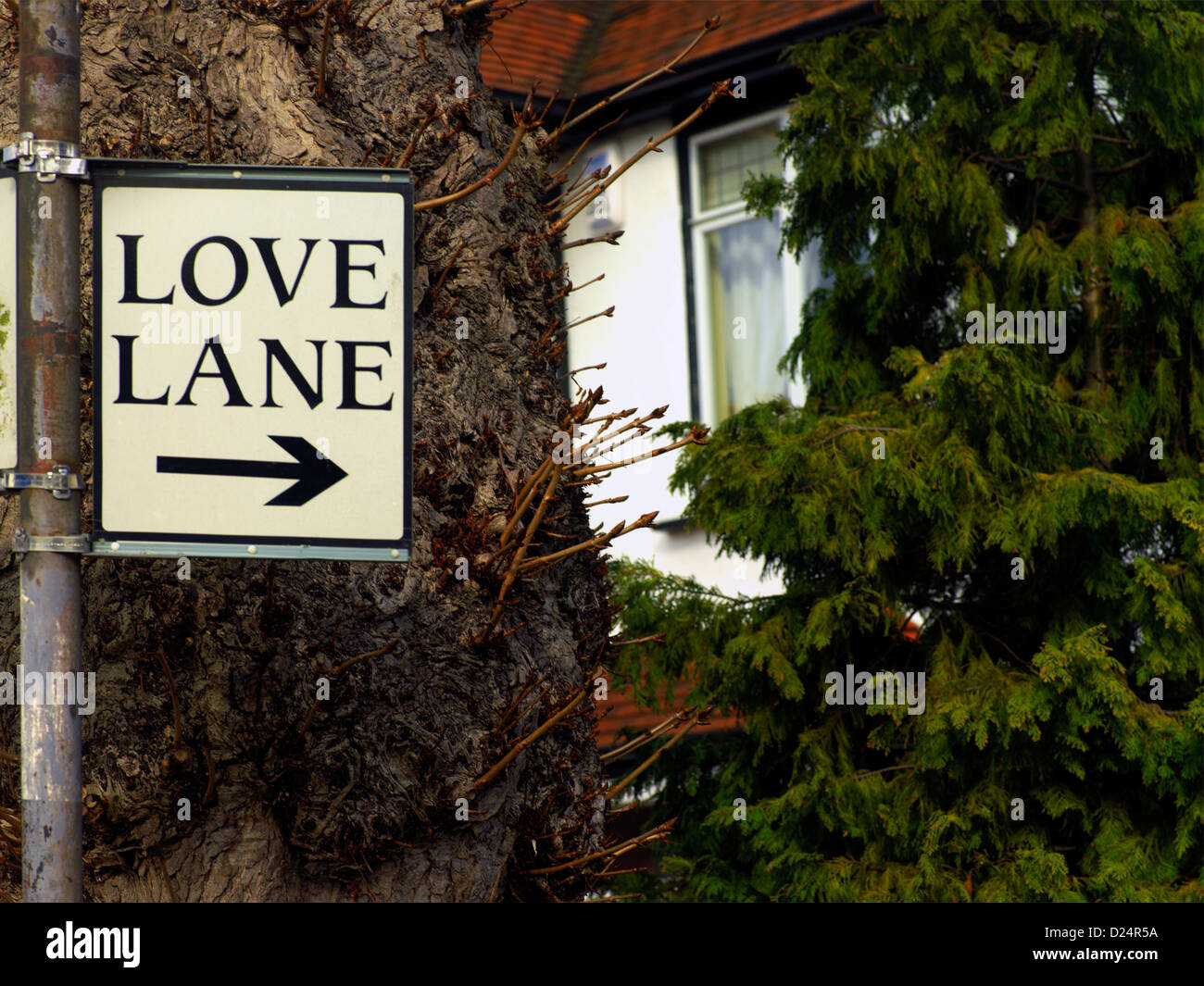 Liebe Spur Cheam Surrey England Stockfoto