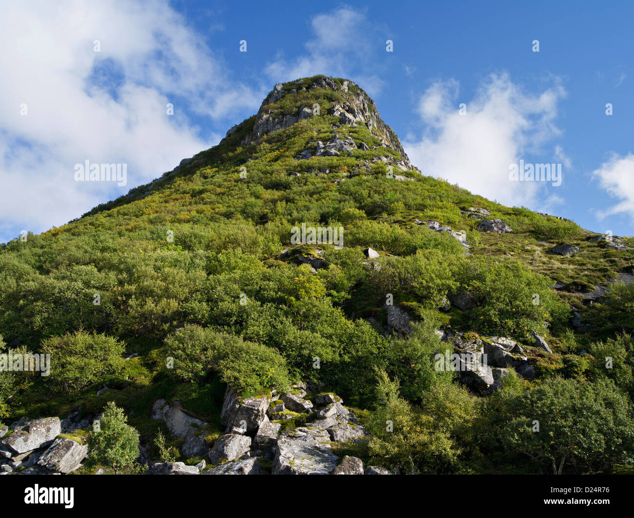 Dramatische Küsten Hügel und Berge zwischen Vik und Uttakleiv, Lofoten, arktische Norwegen Stockfoto