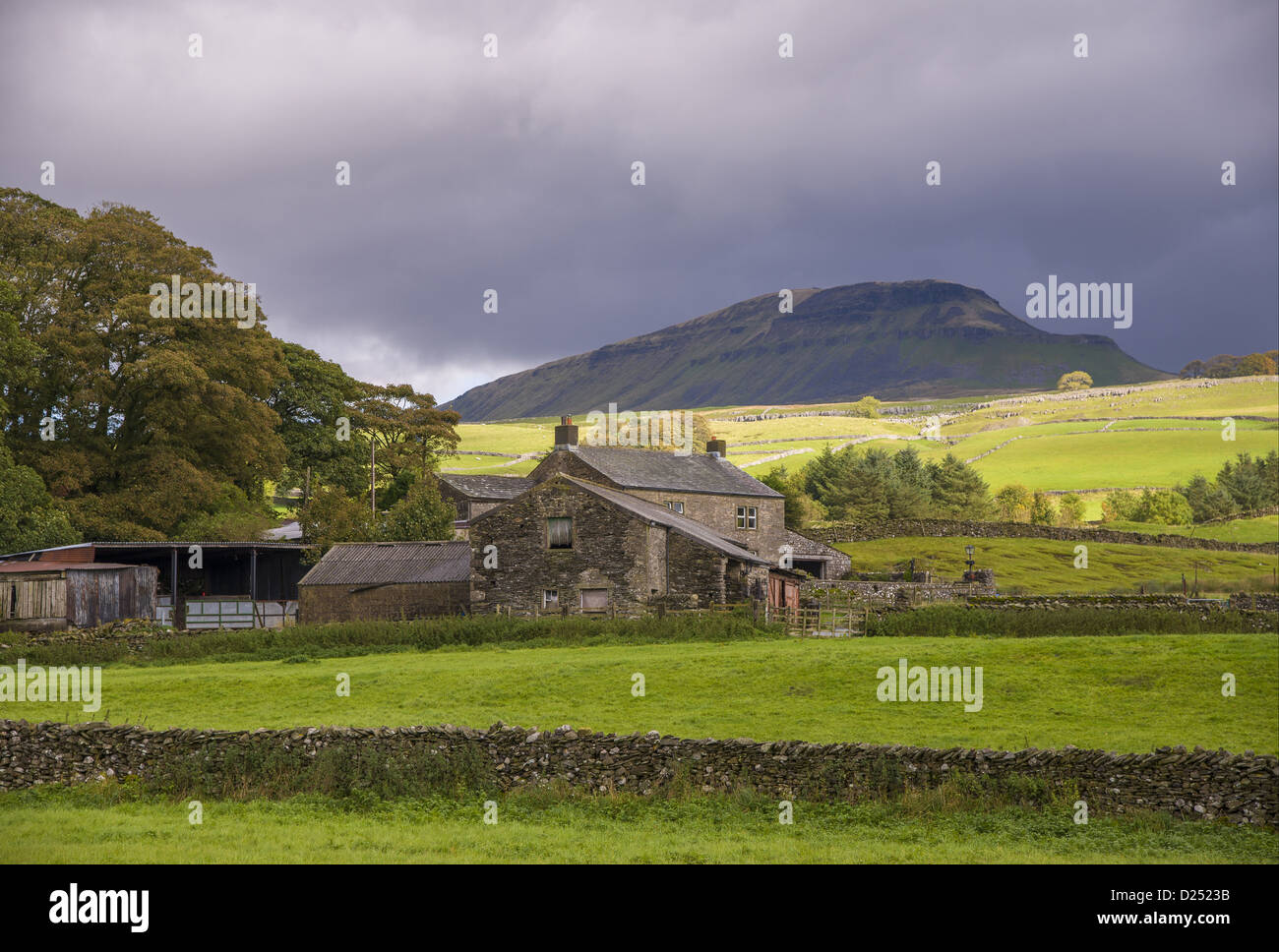 Blick Trockenmauern Wände Weide Bauernhaus mit Peny-y-Gent Hügel im Hintergrund Horton Ribblesdale Yorkshire Dales N.P Nord Stockfoto