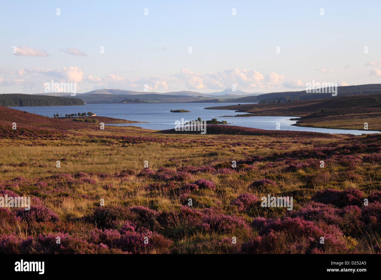 Blick auf Moorland und volle Behälter, Llyn Brenig, Denbigh Moors, North Wales, august Stockfoto